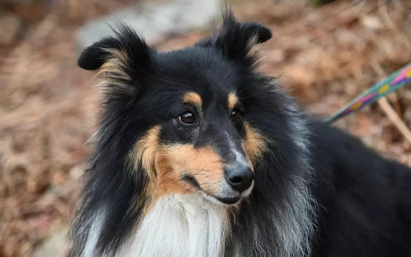 想让伴侣“性趣”大增，你得用这几个方法