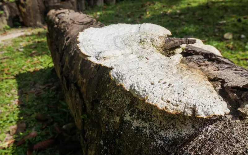 分手后想挽回千万不能死缠烂打