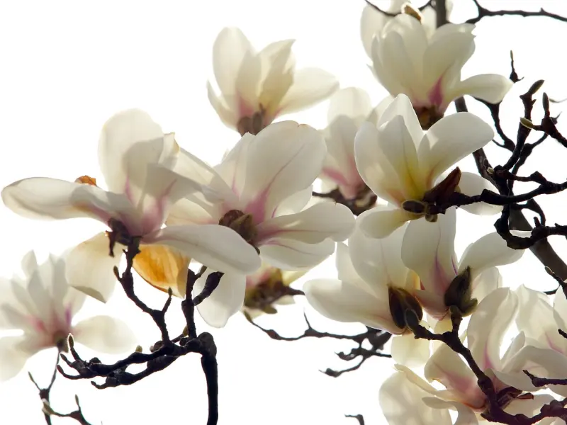 想挽回，先让自己从失恋情绪中走出来