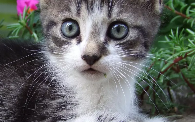 分手想挽回，知道这三点帮你快速挽回