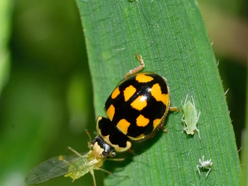 想挽回，必须做到这四点