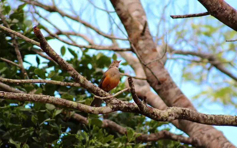想要挽回，你必须知道他拉黑你的8种原因！！！