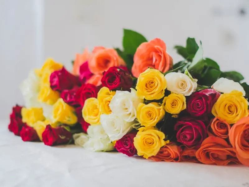 想要挽回成功，你要需学会以下几点！