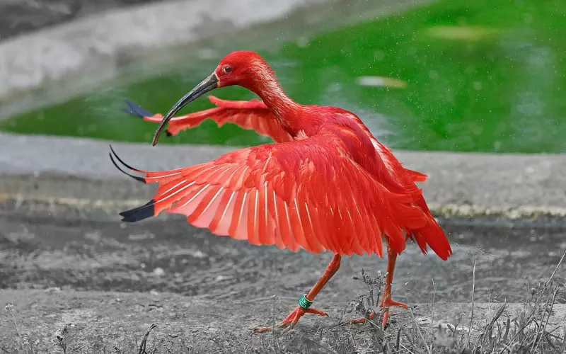 想挽回成功，必学之一