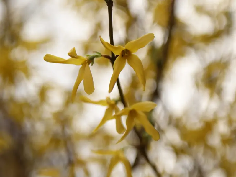 想要挽回婚姻，女人不要陷入这两个极端