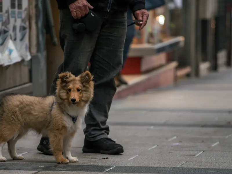 想挽回婚姻关系，这四件事情必须先搞定