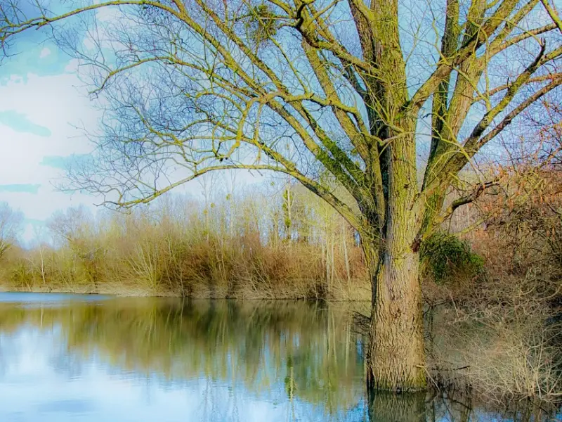 想要成功挽回前任，这几点你一定要做到