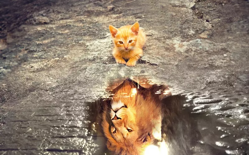 想要成功挽救爱情，你要知道自己为什么被分手