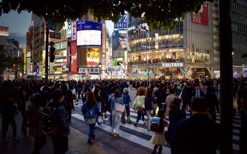 想穿越成太子妃，你需要具备以下素质