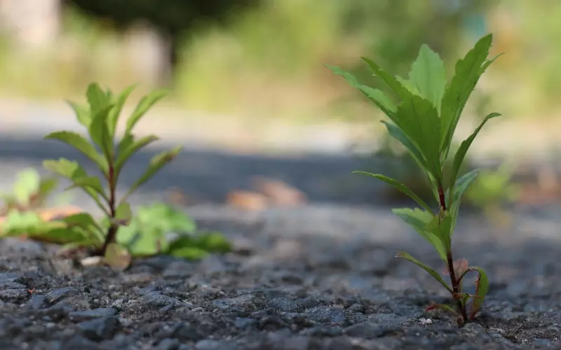 想挽回老公，你就应该这样做夺回他的心