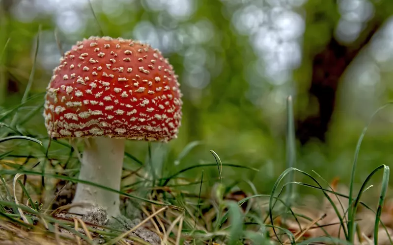 想要挽回前男友，就要改变自己，学着抛下这四样东西