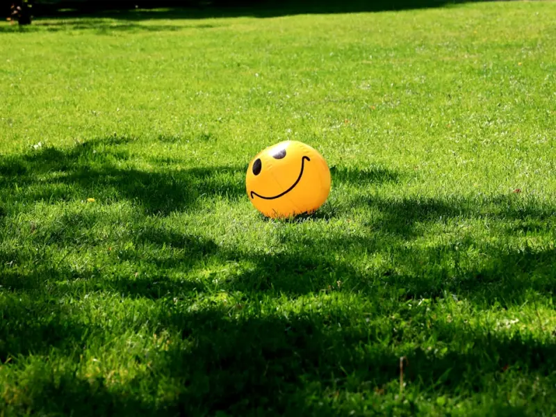 想要挽回前任，就要让他认同你，让他放下防备心！