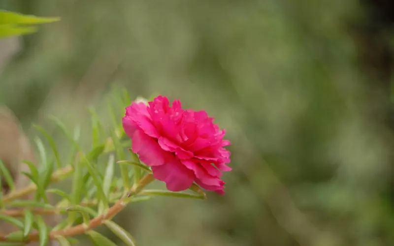 挽回女友的话，分手时想挽回女友的道歉的话该怎么说？