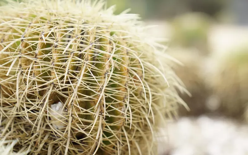 挽回女友的话，谨防踩雷，这几点千万不能说！