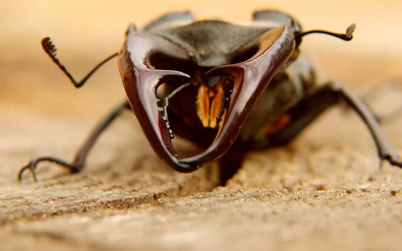 想挽回前任，这种信息不能发