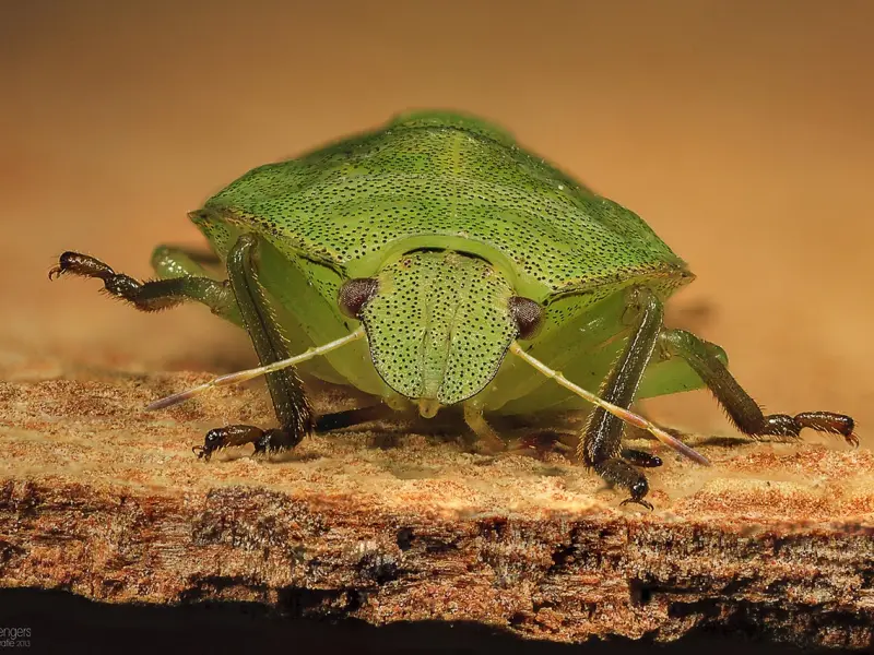 异地恋分手想要挽回男友爱情：成功挽回你要这样做