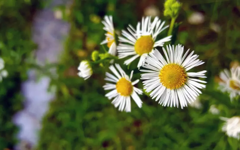 想挽回被作死的男友，先学习如何经营一段感情吧