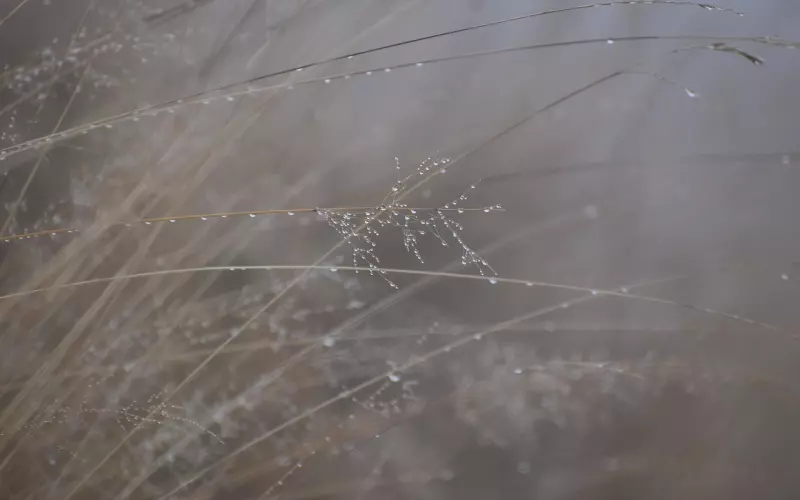 分手后想挽回男友，就不要降低自己的身价！