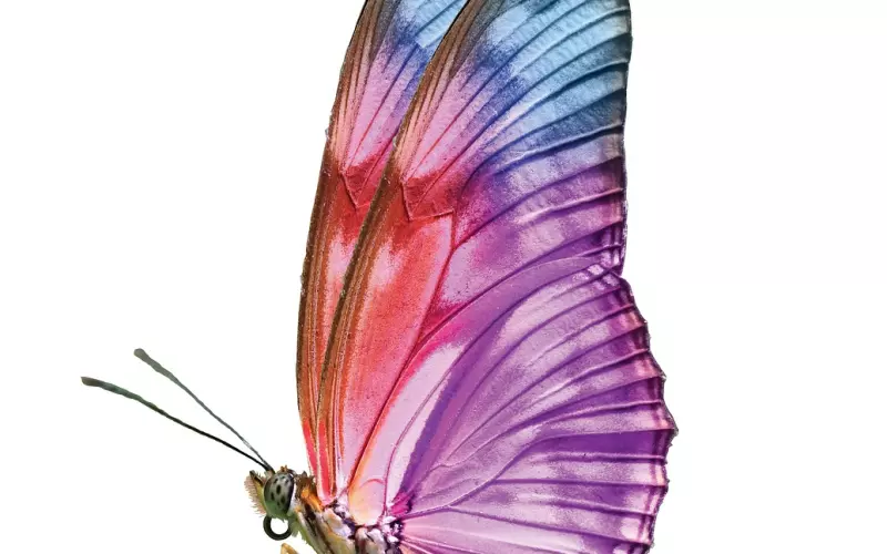 想让前任回头复合，自暴自弃博同情真的有用吗？