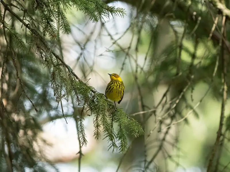 想要婚姻长长久久，这3点你需要好好的了解一下