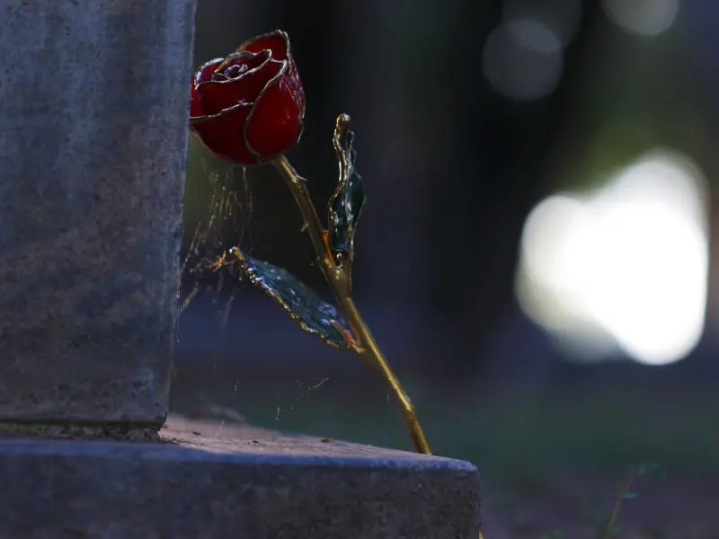 男友这样“称呼”你，其实就是不爱了，女人别傻了！