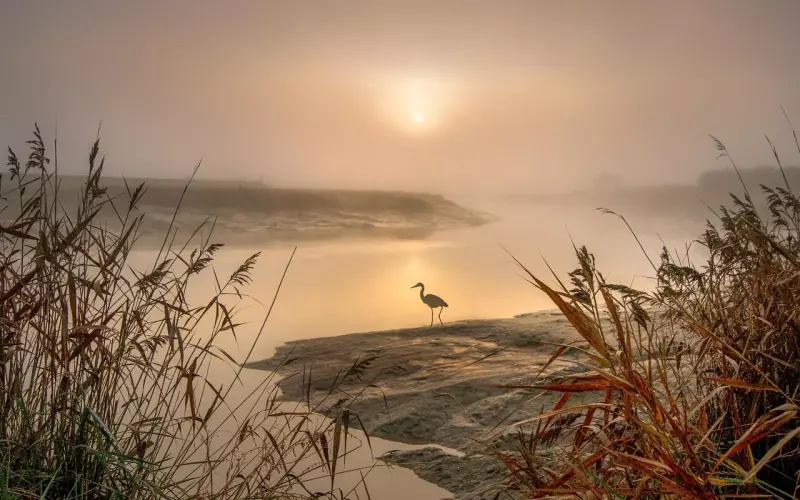 男友没有挽留，怎么让自己走出分手的阴影？