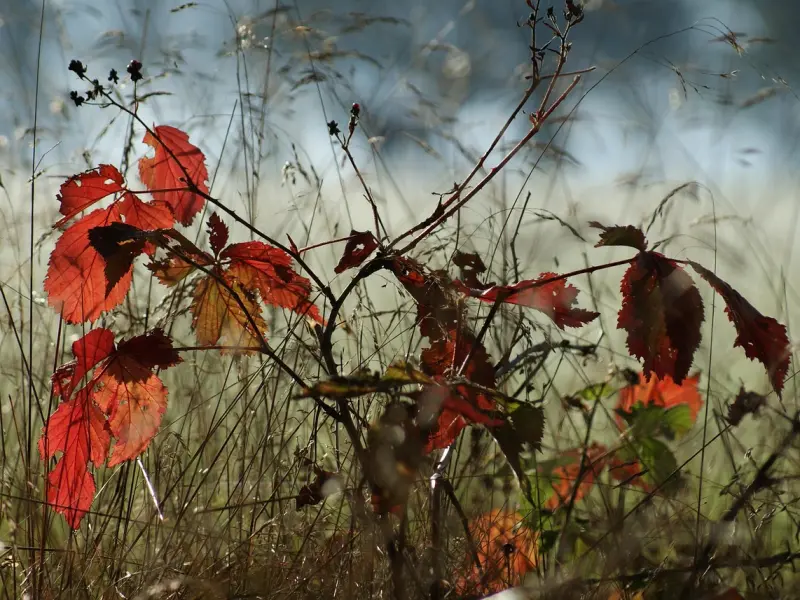 假如分手后男友对你有较强的愧疚感，可以试试这样挽回他