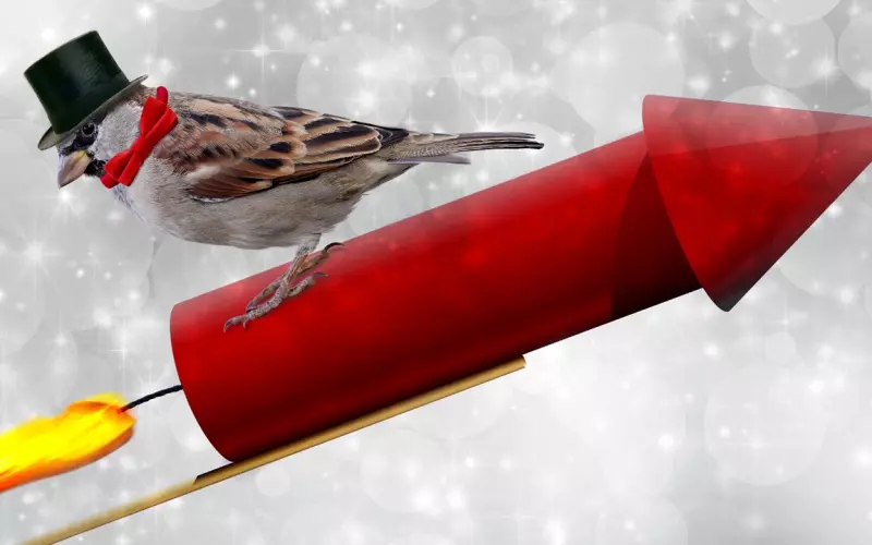 男友喜欢上别的女孩，与其挽回，不如重新开始一段新恋情！