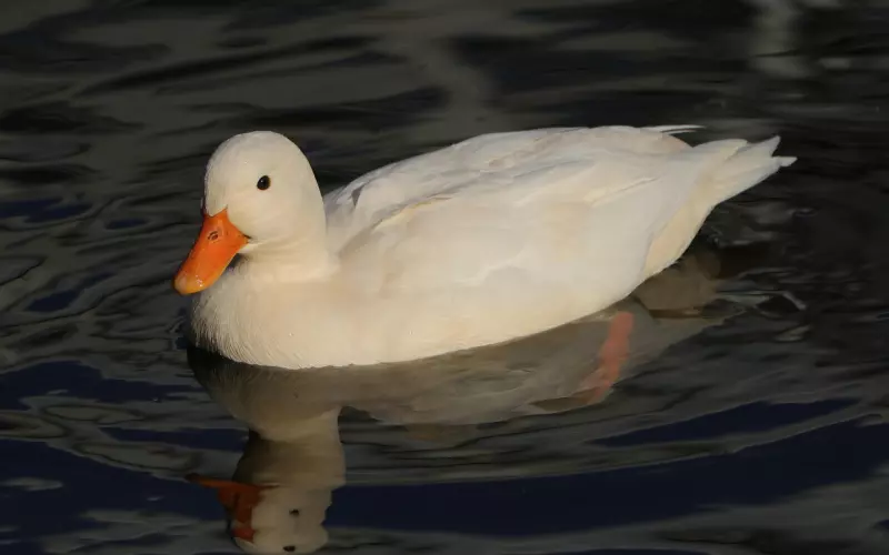 如果男友对你说出这样的话，说明他早就想和你分手了！