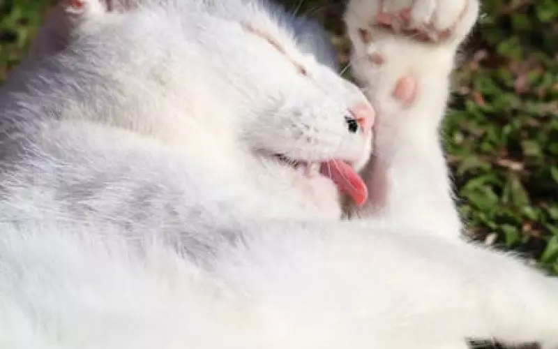 男友分手时对你说这3句话，说明曾经真心爱过你！