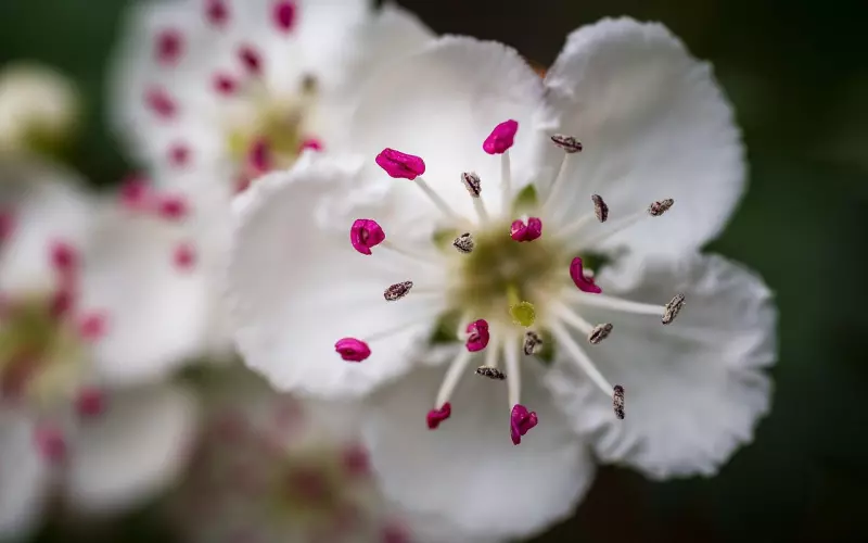 情感伤多了，缘分很有可能就没了