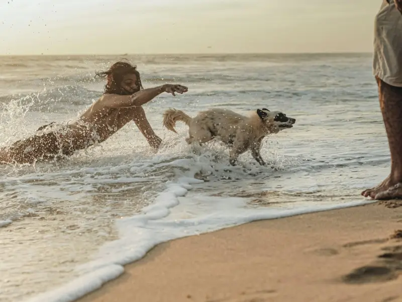 分手前任对你不理不睬，一招搞定