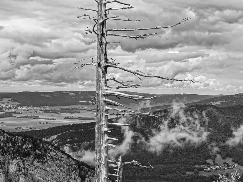 婚前爱情遭遇危机，用好这三招快速逆转死局