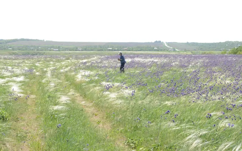 老婆是这4生肖，别愁了！天生注定是富婆命，兴旺子孙三代人！