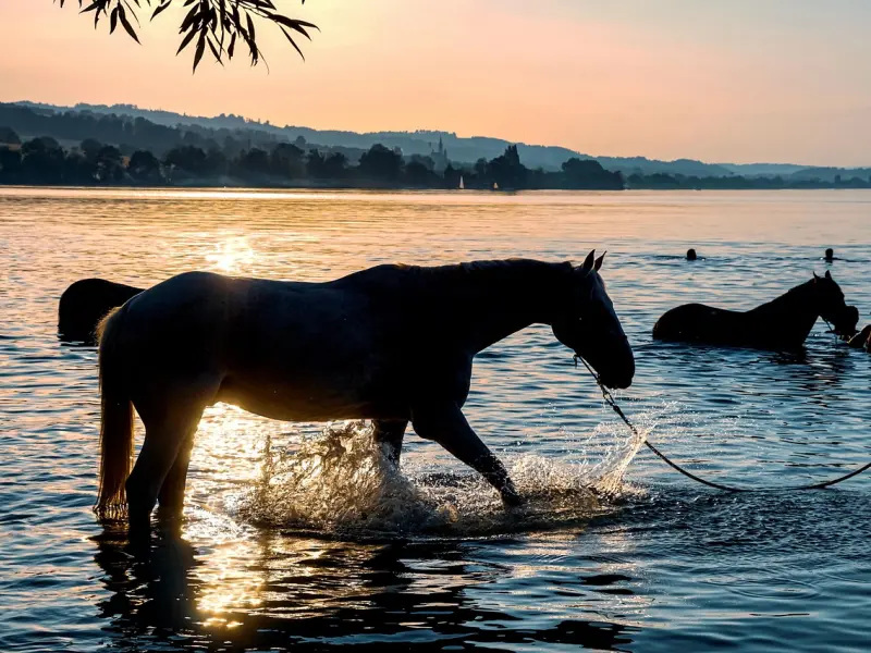 妻子想离婚，你该好好反思自己