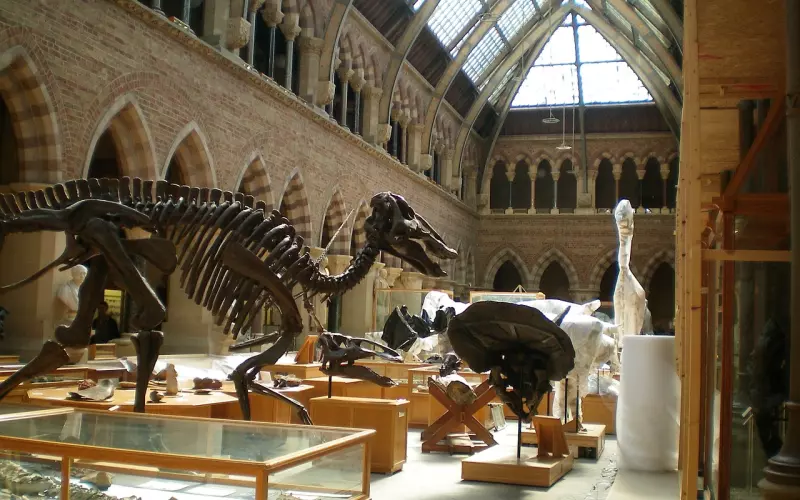 我，只是个女人