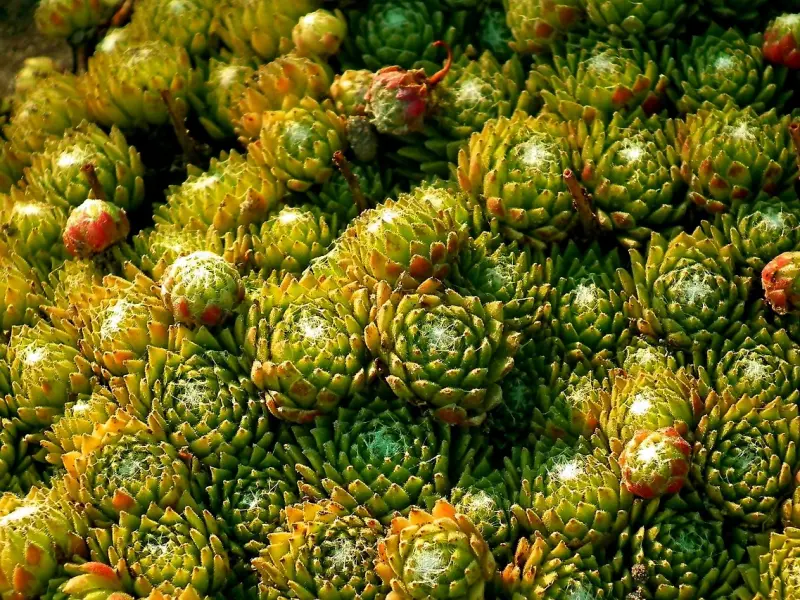 不怕你不会挽回，就怕你以为这样就可以挽回！