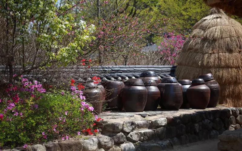 因为在乎，所以对不起