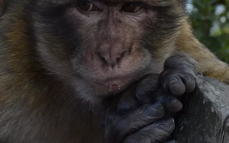 对不起前男友想挽回应该怎么做