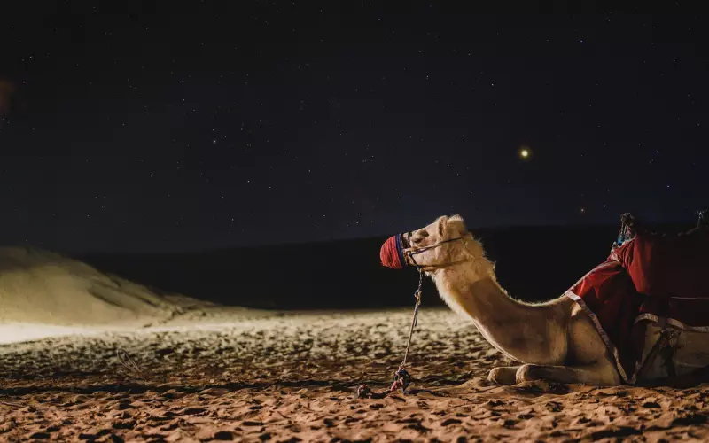 我站在你左侧，却像隔着银河