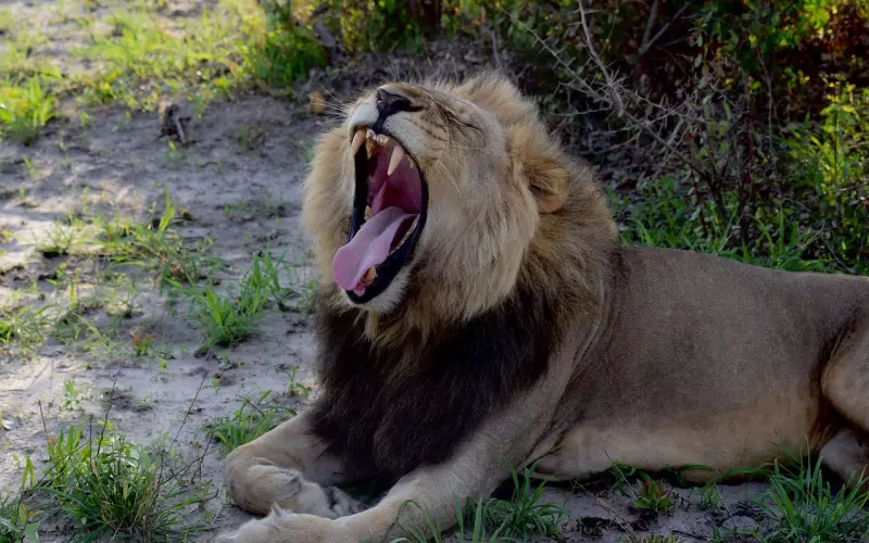 我累了，也懂了...