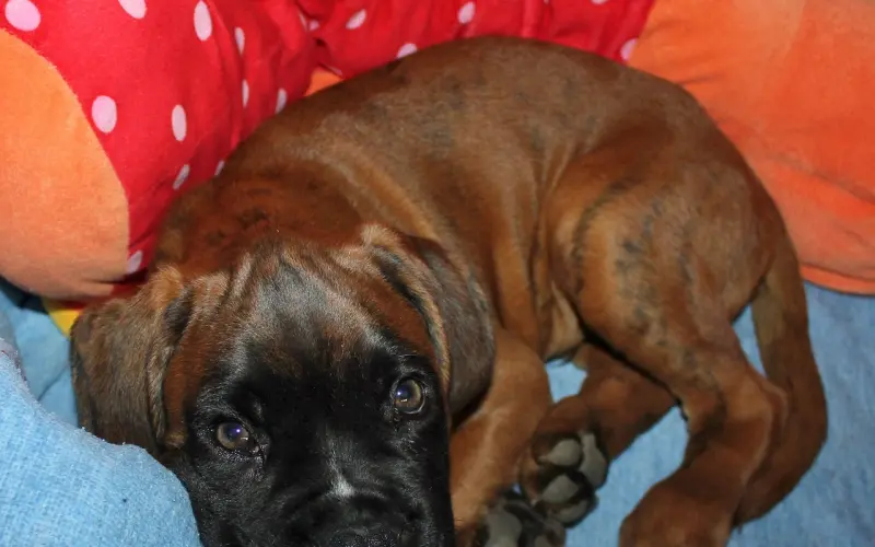 我累了，也懂了......