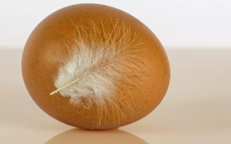 迷失在每一次挽回感情，都忘记思考一个问题