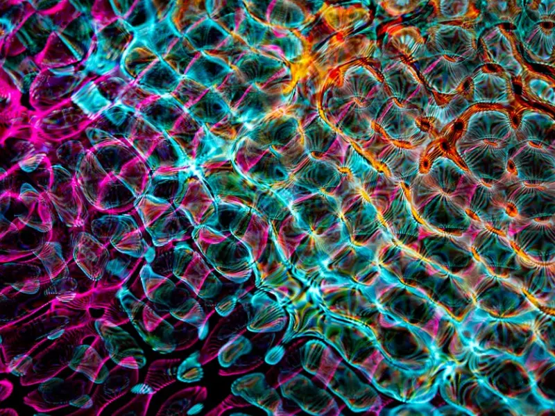 挽救婚姻最明智的方法