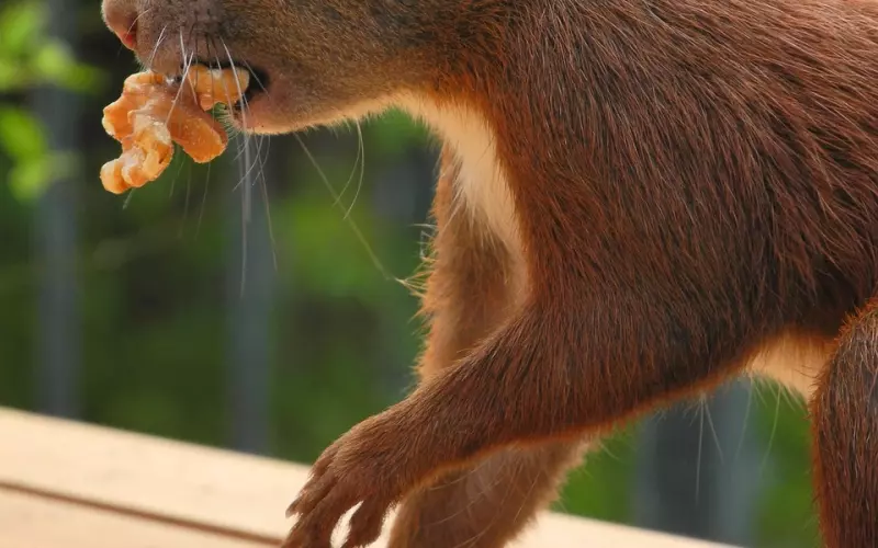 分手与挽回的边缘，请仔细聆听对方的“控诉”和诉求。