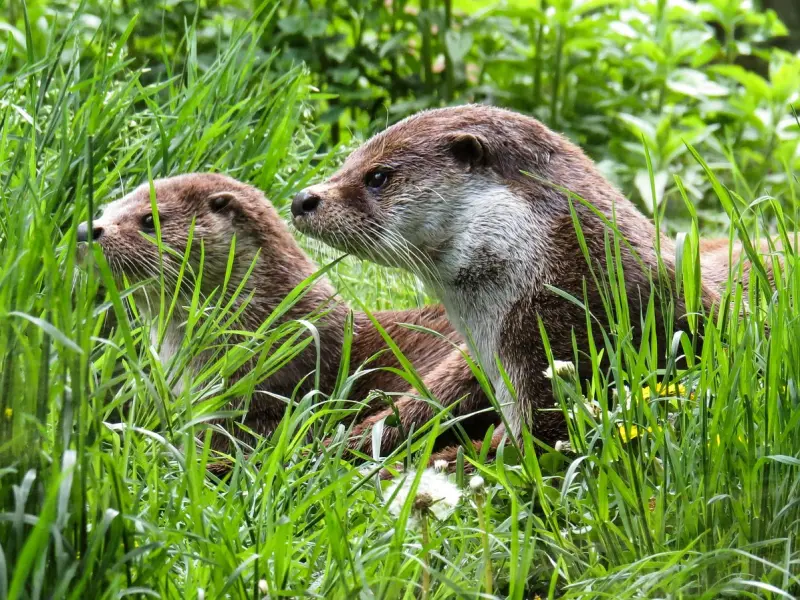 异地恋怎样经营维护，让感情更持久？