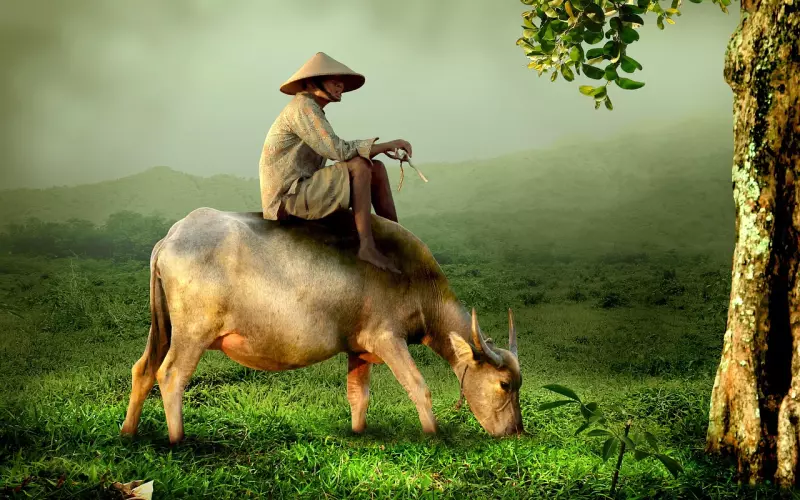 挽回男人的心攻心术  让男人重新爱上你