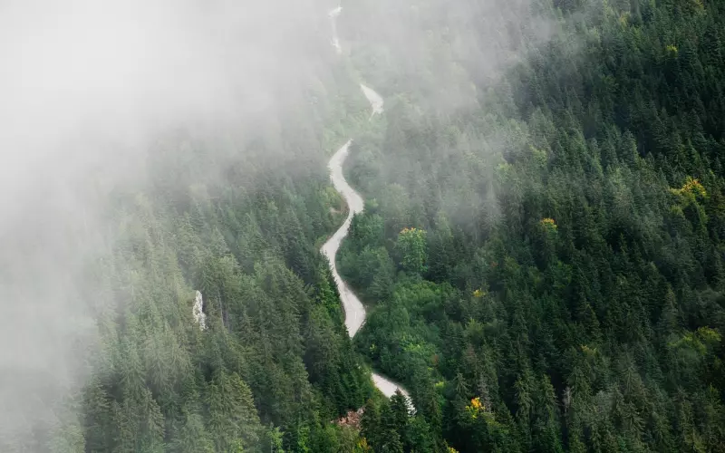 黄荷娜承认与朴有天分手：请不要再来打扰我