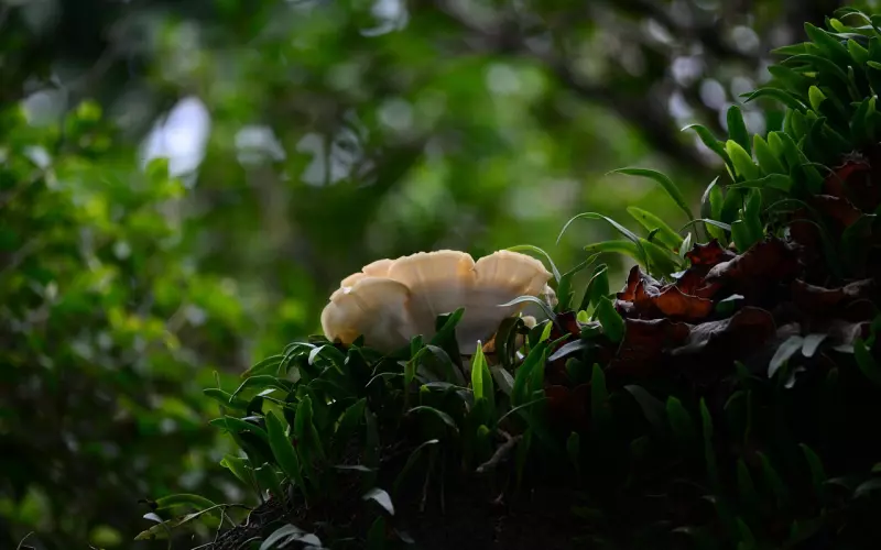 提升情商，让人生焕发生机