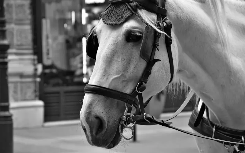 改善这3种思维方式，你也能复合成功